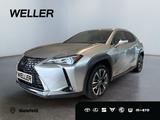 Lexus UX 250h Style Edition *LED*CarPlay*CAM*Spurhalte - Lexus UX