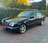 Mercedes-Benz W210 E50 AMG - Mercedes-Benz E 50: AMG