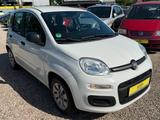 Fiat Panda Pop *ALLWR*74TKM*Klima* TÜV Neu - Fiat Panda Gebrauchtwagen