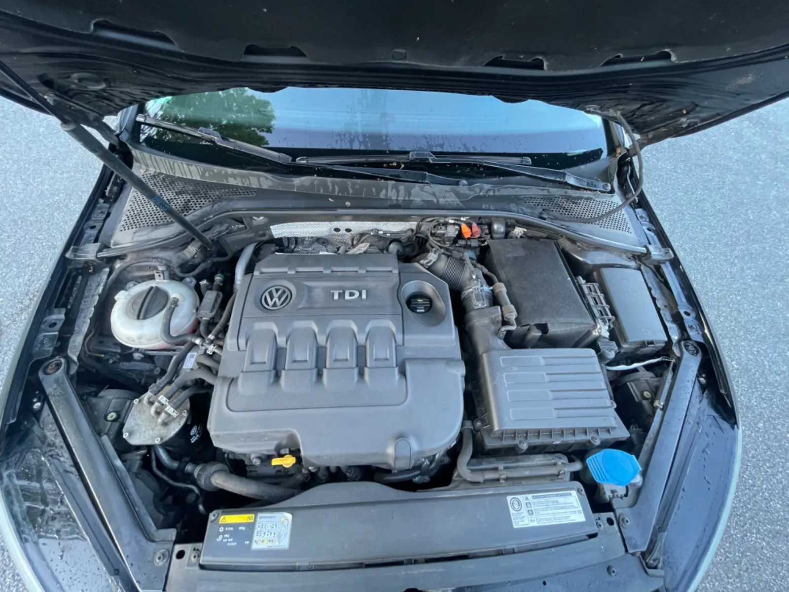 Volkswagen Golf 2013 — photo 18