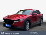 Mazda CX-30 2.0 M-Hybrid SELECTION Navi HuD Voll-LED - Mazda in Dresden