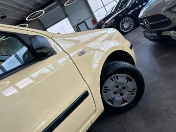 Fiat Panda 1.2 8V *Dynamic
