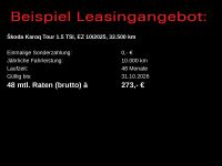 Skoda Karoq - Vorschau Bild 7