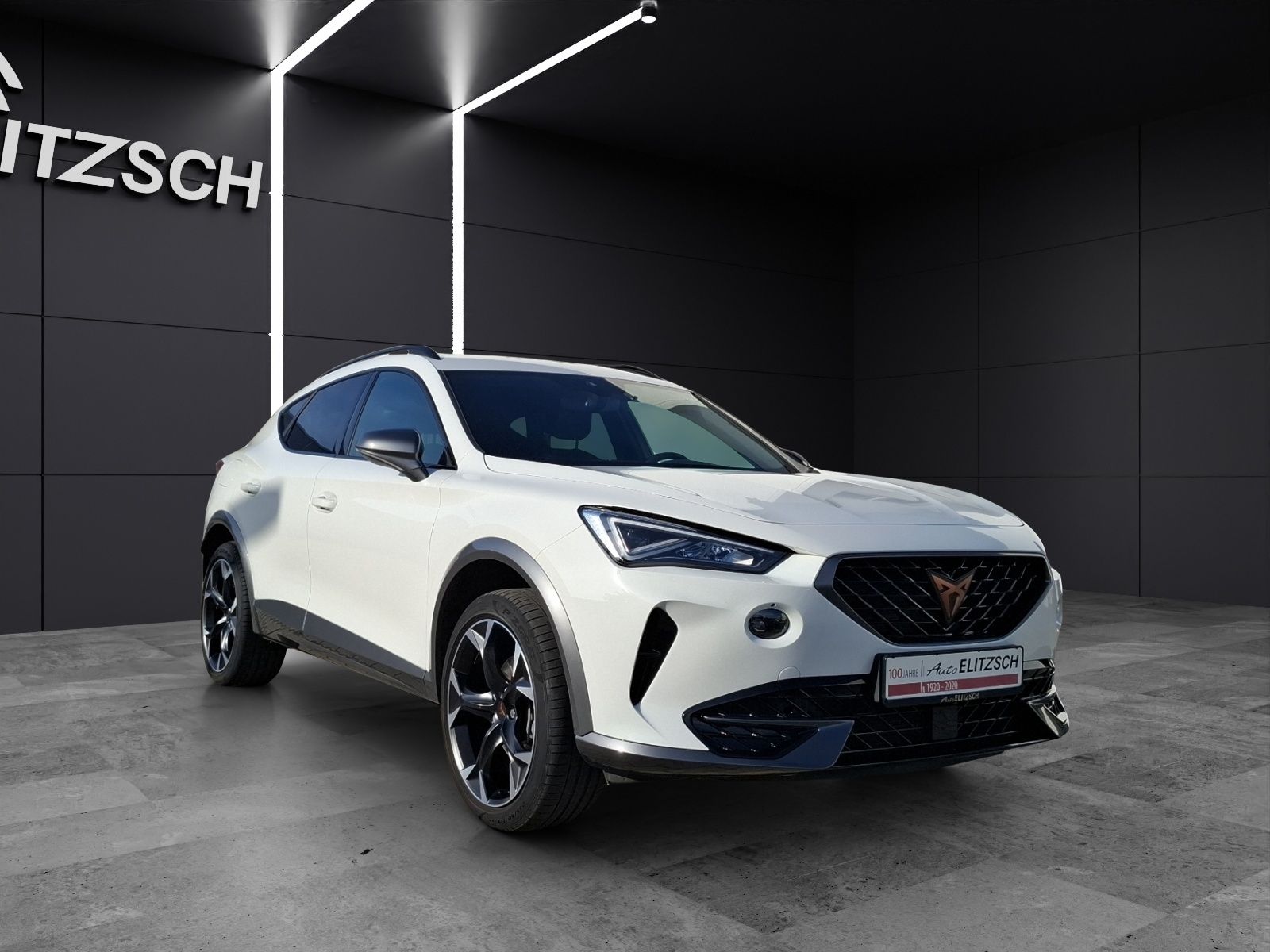 Fahrzeugabbildung CUPRA Formentor TSI DSG LED ACC RFK SH 19"