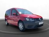 Volkswagen Caddy Maxi 2.0 TDI 4MOTION TRENDLINE | 7-SITZER - Volkswagen Caddy Maxi: Motion