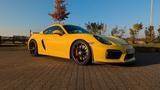 Porsche Cayman GT4 GT4 Approved Clubsport 981 - Porsche Cayman in Gelsenkirchen