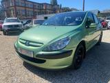 Peugeot 307 Grand Filou 110 Klima Euro3 & D4 - Peugeot 307: Filou