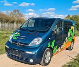 Opel Vivaro Life Westfalia Peter Lustig - Opel Vivaro: Westfalia