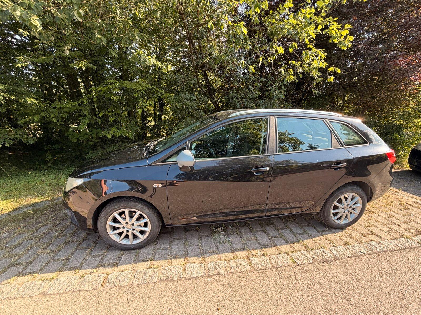 Seat Ibiza 2010 — rear view