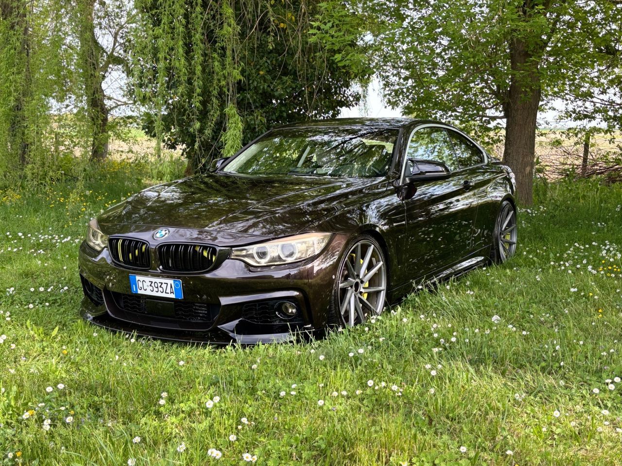 BMW BMW Bmw 428 428i Coupé
