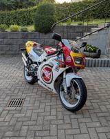 Suzuki RGV 250 BJ 22B *Lucky Strike* *Sammler* RS250  - SUZUKI RG