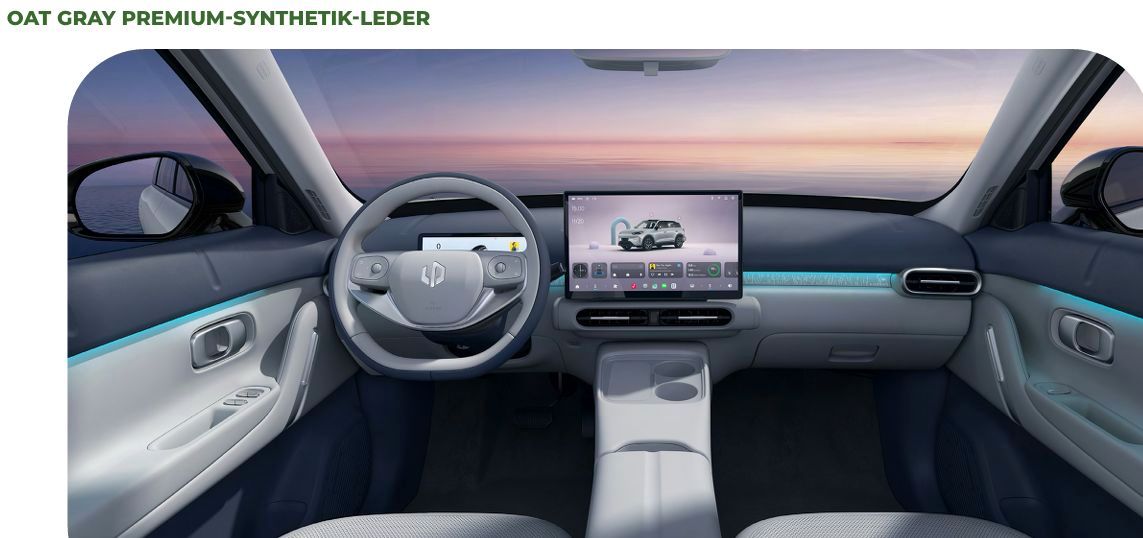 Leapmotor Andere - Bild 19