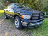 Dodge RAM 1500 5.7 HEMI / 2WD / Heckantrieb /6sitzer!! - Dodge RAM: 6.7