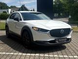 Mazda CX-30 Homura *Klimaautomatik*Rückfahrkamera* - Mazda CX-30 aus 2023