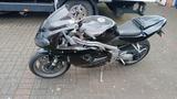Triumph Daytona 955i - TRIUMPH DAYTONA 955I