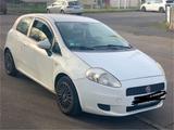 Fiat Punto 1.4 Sport - Fiat Punto in Kassel