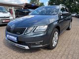 Skoda Octavia Combi Scout 4x4 LED Navi SHZ Pano - Skoda Octavia: Allradantrieb, Scout