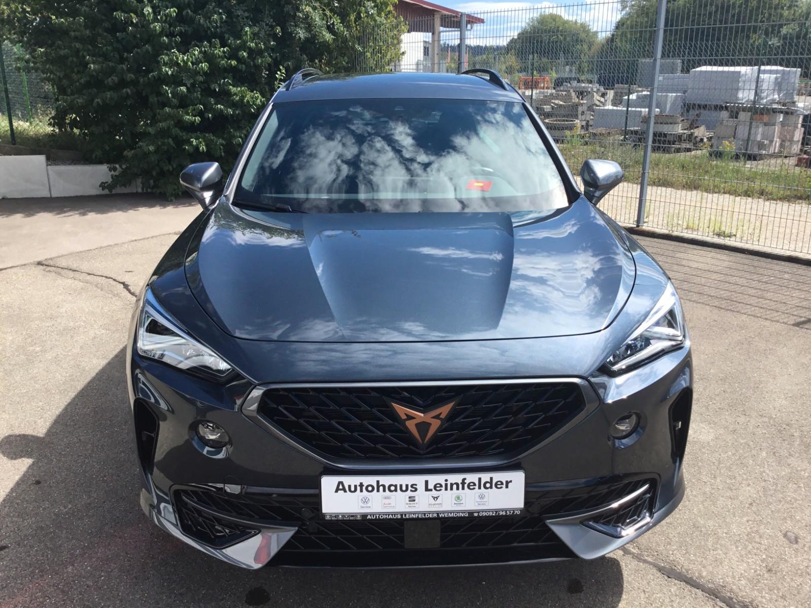 Cupra Formentor 2.0 TSI VZ DSG+19"+Navi+ACC+Kamera
