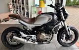 QJ Motor SRV 550  Cafe Racer Garantie !!! - QJ MOTOR MOTORRAD