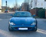 Jaguar XK8 4.0 V8 Coupe - Rostfrei - Jaguar: 4.0