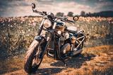 Triumph Bonneville Bobber Black  - TRIUMPH BONNEVILLE BLACK