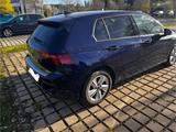 Volkswagen Golf 8 eTSI 150 PS - Volkswagen Golf: 150 Ps