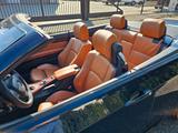 BMW 335i Cabrio M-Paket Individual Performance  - BMW 335: 335i M Paket