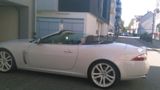 Jaguar XKR Cabriolet - - Jaguar: Cabrio