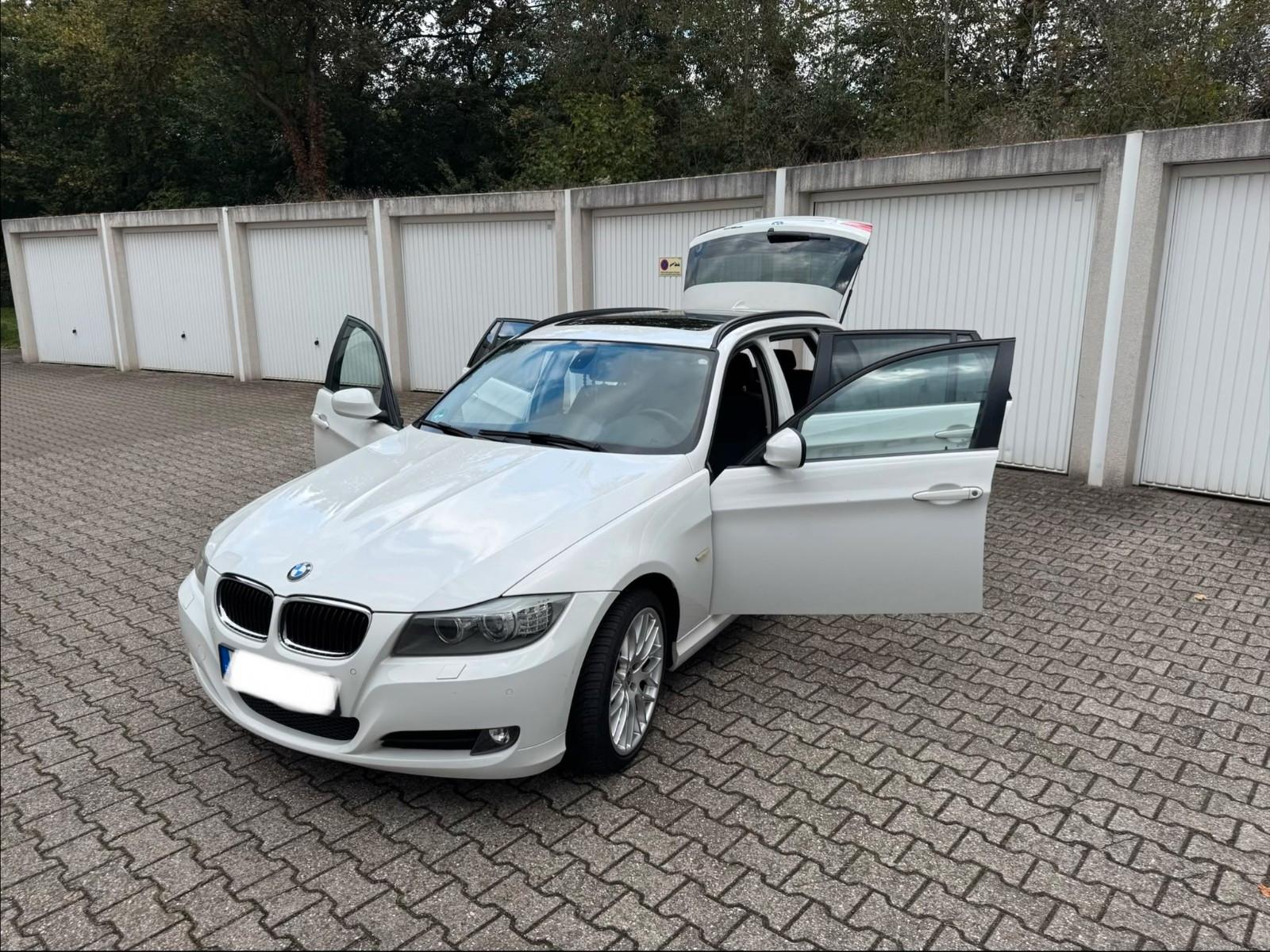 BMW 318 2010 — салон