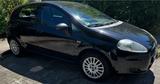 Fiat Grande Punto  Sehr gepflegt  Fahrbe... - Fiat Grande Punto von privat
