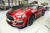 Ford Mustang 5.0 Ti-VCT V8 GT 500 SHELBY