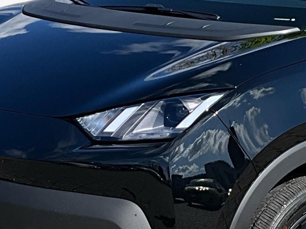 BYD DOLPHIN SURF