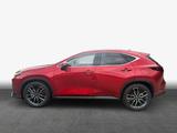 Lexus NX350h 4x4 Luxury Line + Panorama Modell2026 - Lexus NX 350h mit Panoramadach