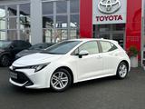 Toyota Corolla 1.2 Comfort Business Paket Winter - Toyota Corolla Comfort mit Benzin-Antrieb