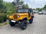 Jeep CJ 5 BUICK V6 MIT T150 3 GANG DOPPELFLUTIGE AUSP - Jeep CJ: T