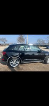 Audi Q5 40 TDI quattro - - Audi Q5 in Mannheim