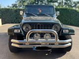 Jeep Wrangler TJ "alles eingetragen" - Jeep Wrangler mit Benzin-Antrieb: Al