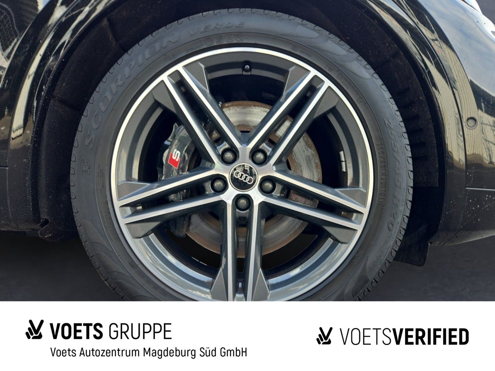 Audi SQ5 - Bild 6