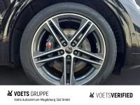Audi SQ5 - Vorschau Bild 6