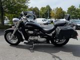Suzuki VL800C*C800*Koffer*Gepäckträger - SUZUKI VL 800