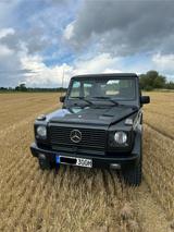 Mercedes-Benz G 300 GE kurz H-Zulassung  - Mercedes-Benz G 300: Pickup