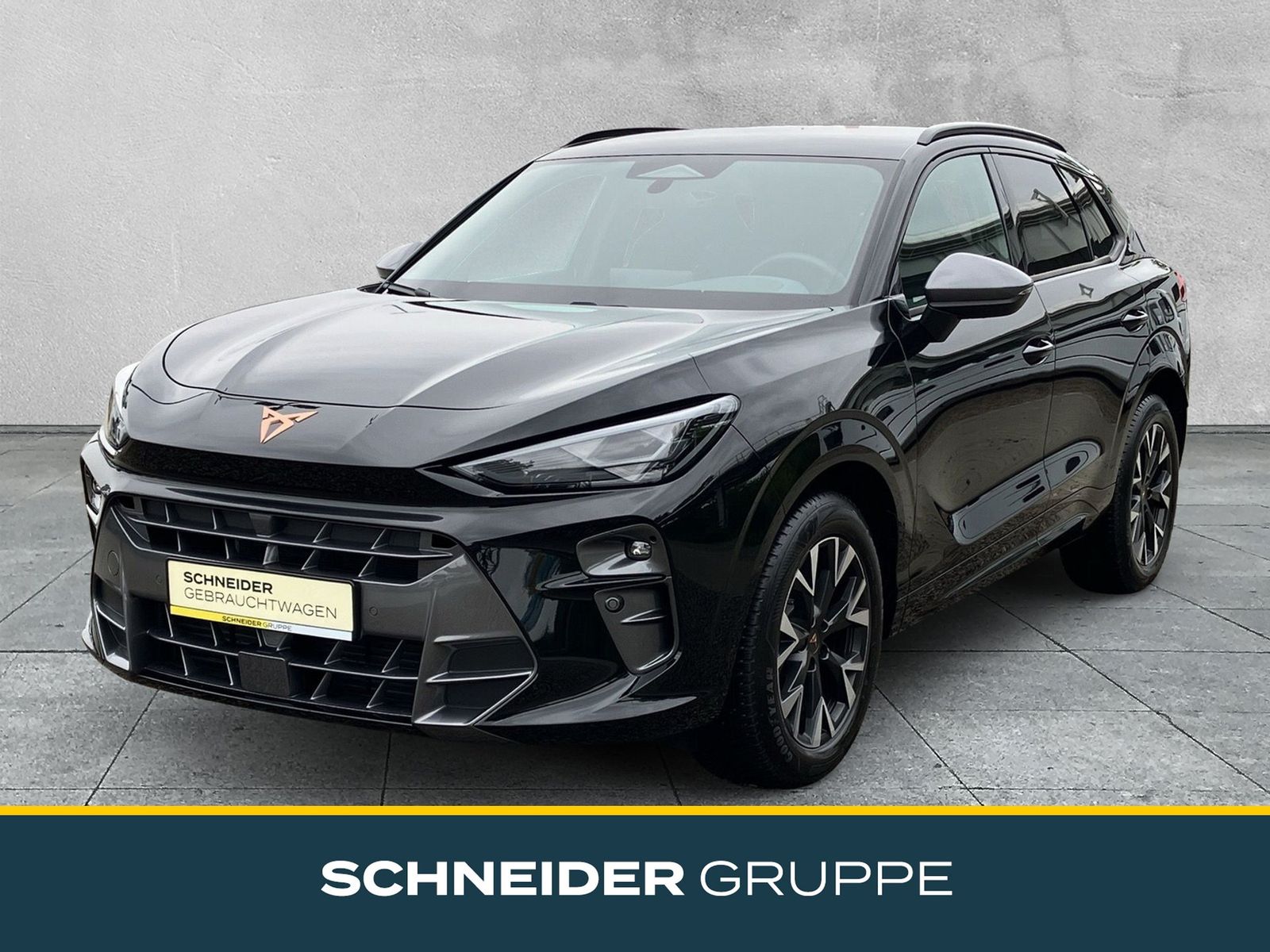 Cupra Terramar - 1