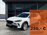 Cupra Formentor 1.5 TSI LED Navi ACC Full Link - Cupra Formentor Gebrauchtwagen in Hannover