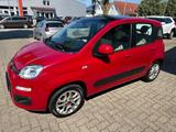 Fiat Panda Lounge/1HD/AUT/PANO/KLIMA/PDC/GJR - Fiat Panda LOUNGE mit Benzin-Antrieb
