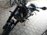 Benelli Leoncino Trail 500 - BENELLI LEONCINO 500