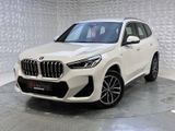 BMW X1 xDrive20d Aut. M Sportpaket+WIDESCREEN+DAB+