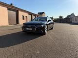 Audi A6 50 TDI HD MATRIX STANDHEIZUNG