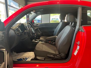 Volkswagen Beetle - 10