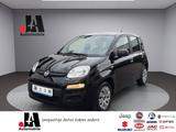 Fiat New Panda Serie MyStyle - Fiat New Panda: Kleinwagen