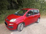 Fiat New Panda - Fiat New Panda von privat